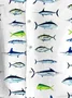 Royaura® Hawaii Sea Life Fish All Over 3D Print Men's Button Pocket Short Sleeve Shirt Big & Tall